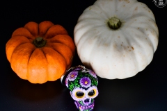 Pumpkins_33