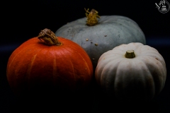 Pumpkins_5